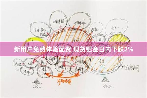 新用户免费体验配资 现货钯金日内下跌2%