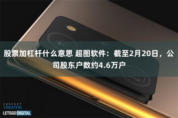 股票加杠杆什么意思 超图软件：截至2月20日，公司股东户数约4.6万户