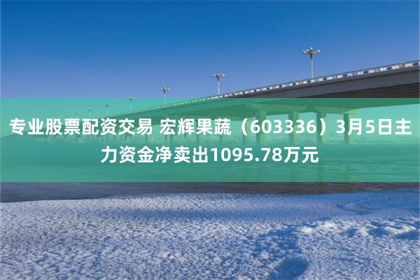 专业股票配资交易 宏辉果蔬（603336）3月5日主力资金净卖出1095.78万元