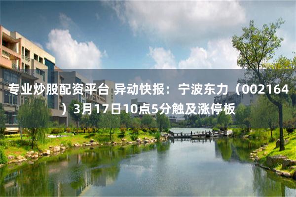 专业炒股配资平台 异动快报：宁波东力（002164）3月17日10点5分触及涨停板