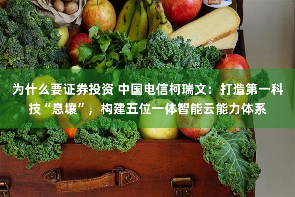 为什么要证券投资 中国电信柯瑞文：打造第一科技“息壤”，构建五位一体智能云能力体系