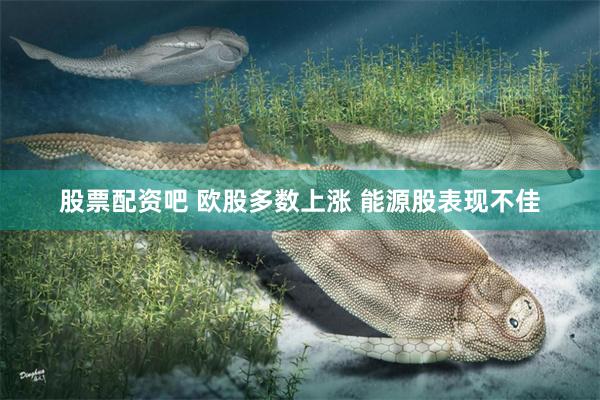 股票配资吧 欧股多数上涨 能源股表现不佳