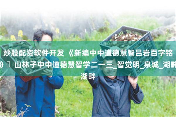 炒股配资软件开发 《新编中中道德慧智吕岩百字铭》​山林子中中道德慧智学二一三_智觉明_泉城_湖畔