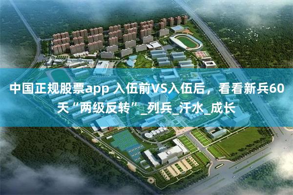 中国正规股票app 入伍前VS入伍后，看看新兵60天“两级反转”_列兵_汗水_成长
