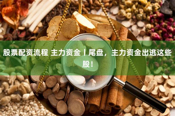 股票配资流程 主力资金丨尾盘，主力资金出逃这些股！