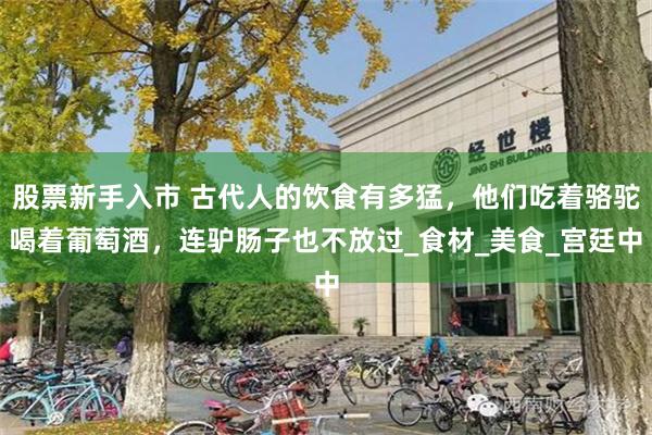 股票新手入市 古代人的饮食有多猛，他们吃着骆驼喝着葡萄酒，连驴肠子也不放过_食材_美食_宫廷中