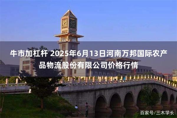 牛市加杠杆 2025年6月13日河南万邦国际农产品物流股份有限公司价格行情