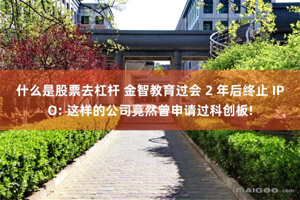 什么是股票去杠杆 金智教育过会 2 年后终止 IPO: 这样的公司竟然曾申请过科创板!