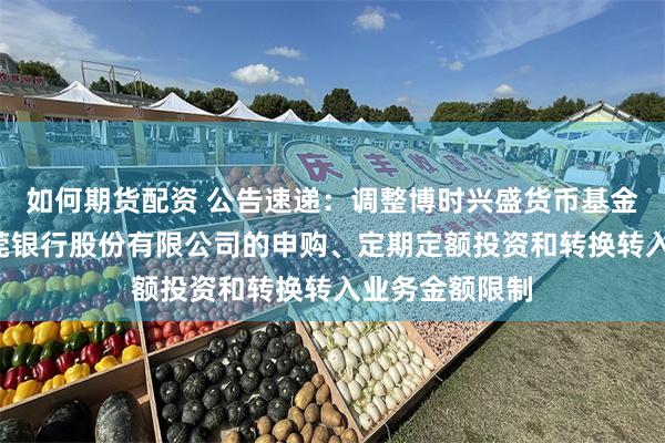 如何期货配资 公告速递：调整博时兴盛货币基金B类份额在东莞银行股份有限公司的申购、定期定额投资和转换转入业务金额限制